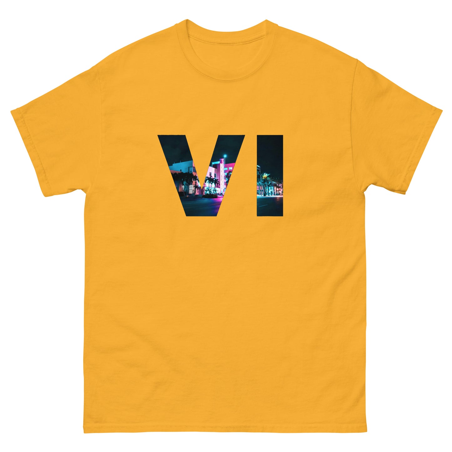 VI Men's classic tee